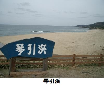 琴引浜