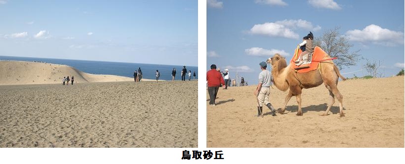鳥取砂丘