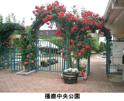 播磨中央公園