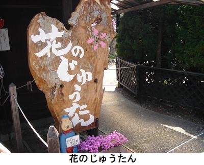 花のじゅうたん