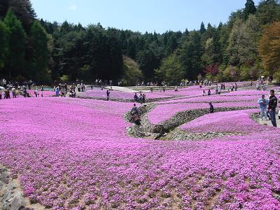 花のじゅうたん