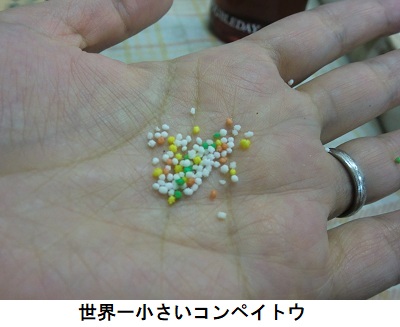 コン世界一小さいコンペイトウ