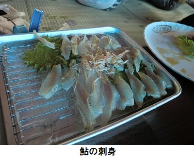 鮎のさしみ