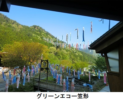 グリーンエコー笠形