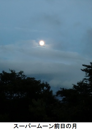 西はりま天文台公園