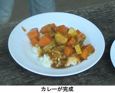 カレーライス