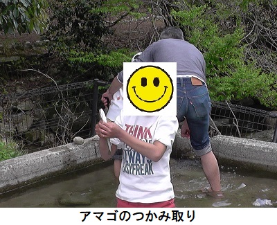 アマゴのつかみ取り