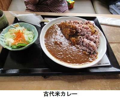 古代米カレー