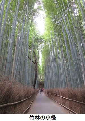 竹林の小径