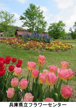 フラワーセンター