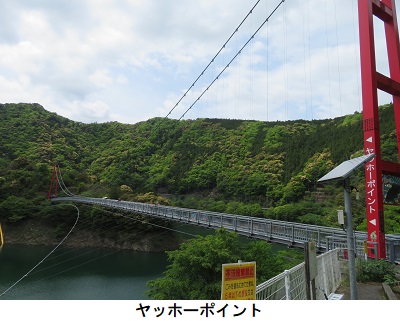 ヤッホーポイント