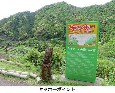 ヤッホーポイント