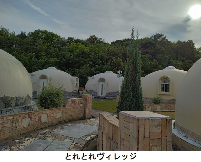 とれとれヴィレッジ