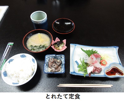 とれたて定食