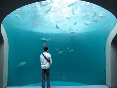 四国水族館